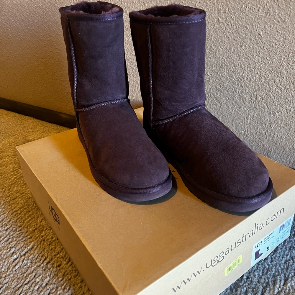 Eggplant Colored Short Uggs. Never Worn. Size 8.
